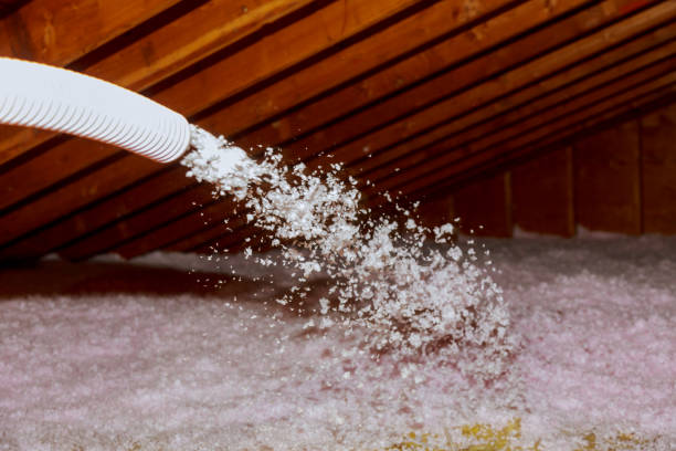 Best Insulation Replacement Services  in Edgemere, MD